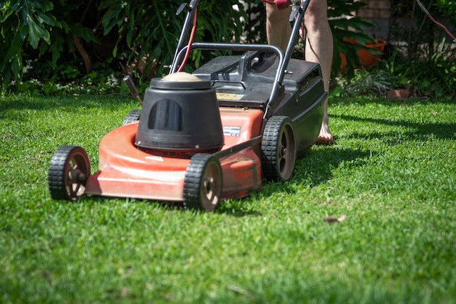 Red lawn mower on green grass